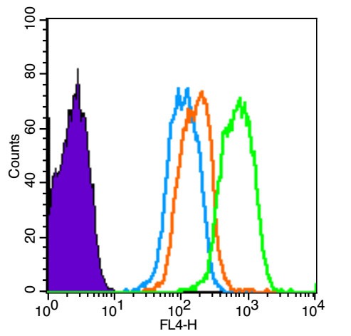 Anti-JNK1/2/3 Polyclonal Antibody
