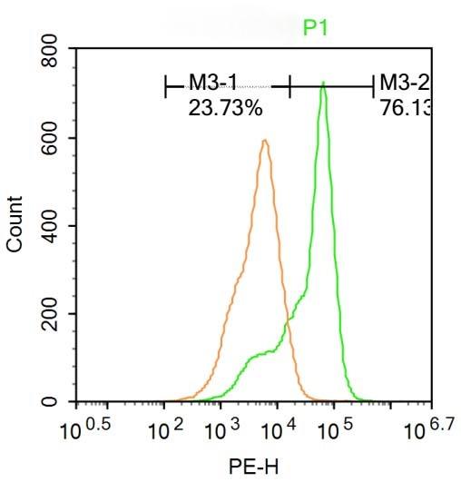 Anti-ITGAE Polyclonal Antibody