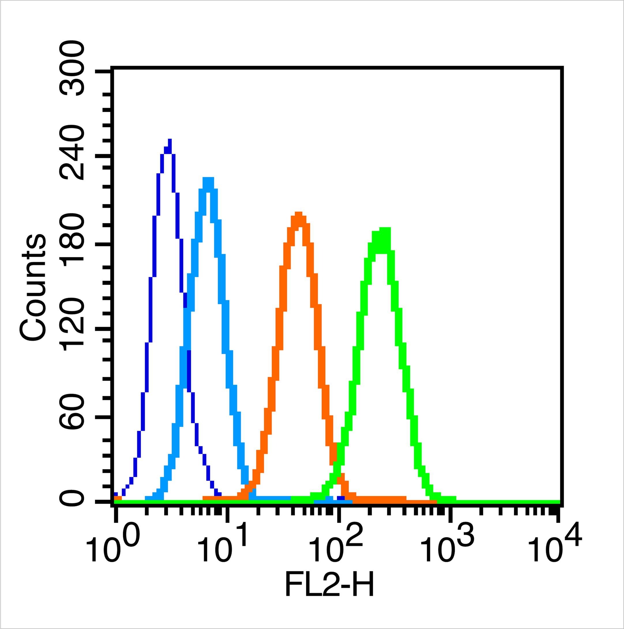 Anti-IL-1R1 Polyclonal Antibody