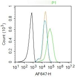 Anti-IL-1 alpha/IL-1A Polyclonal Antibody