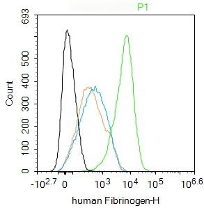 Anti-Fibrinogen Polyclonal Antibody