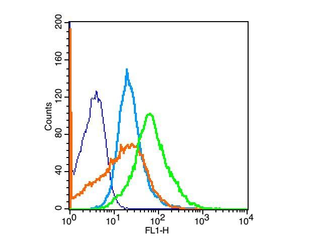 Anti-GHR/Growth Hormone R Polyclonal Antibody