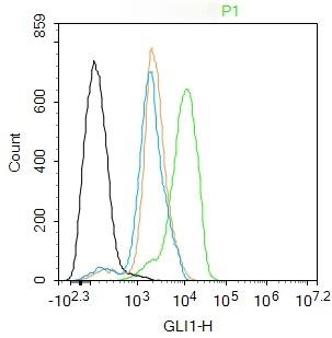 Anti-GLI1 Polyclonal Antibody