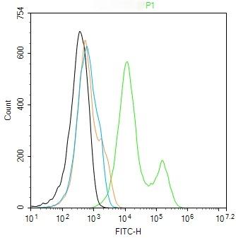 Anti-Integrin  alpha 3  beta 1 Polyclonal Antibody