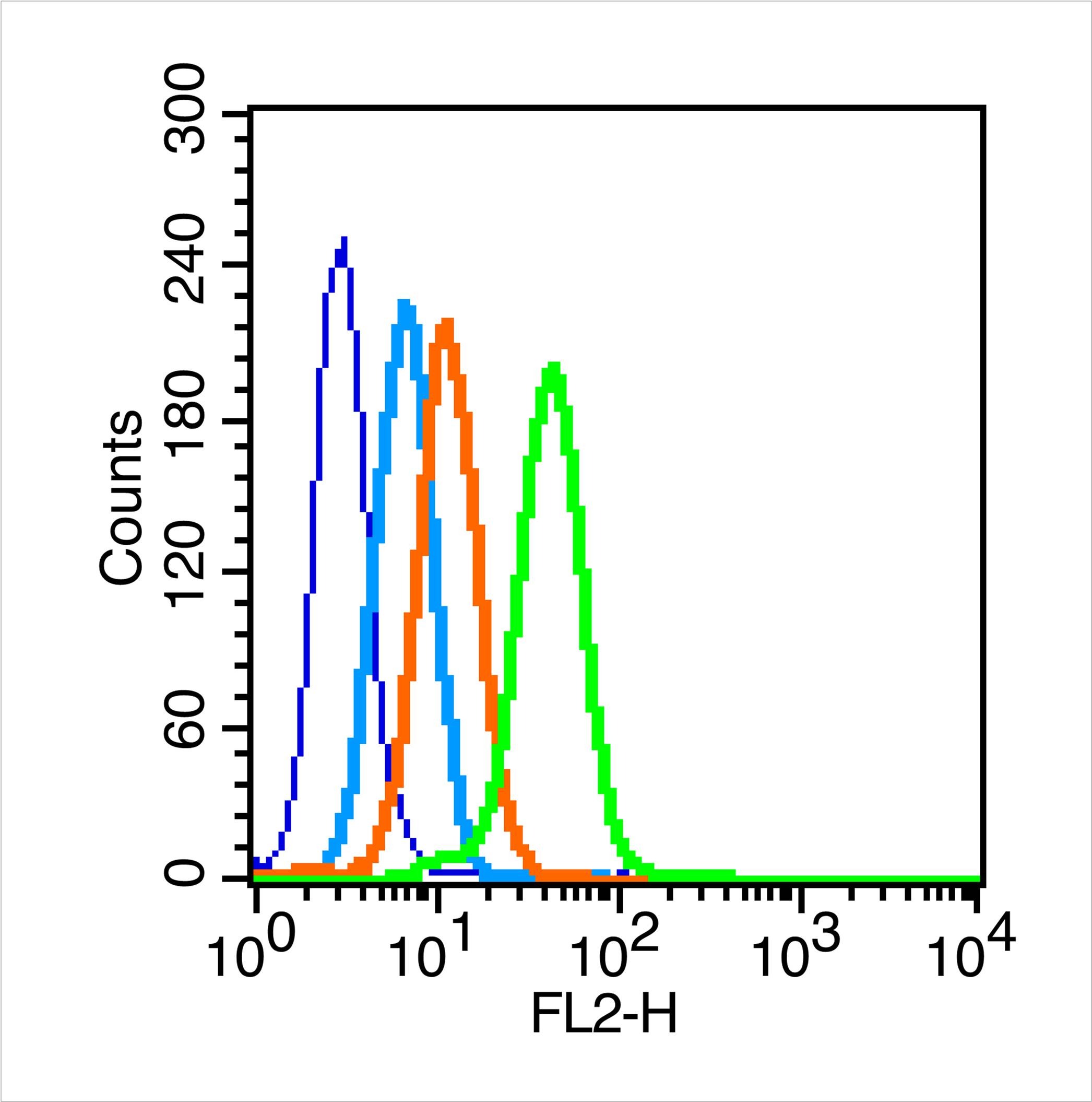 Anti-Integrin  alpha 5  beta 1 Polyclonal Antibody