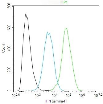 Anti-IFN gamma Polyclonal Antibody 2