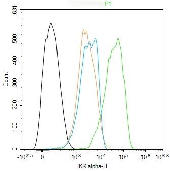 Anti-IKBKA Polyclonal Antibody