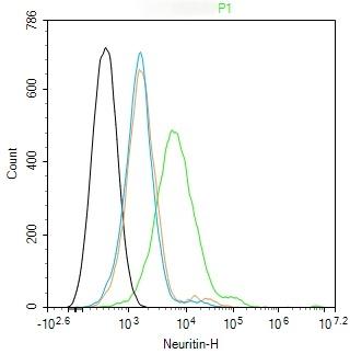 Anti-NRN1 Polyclonal Antibody