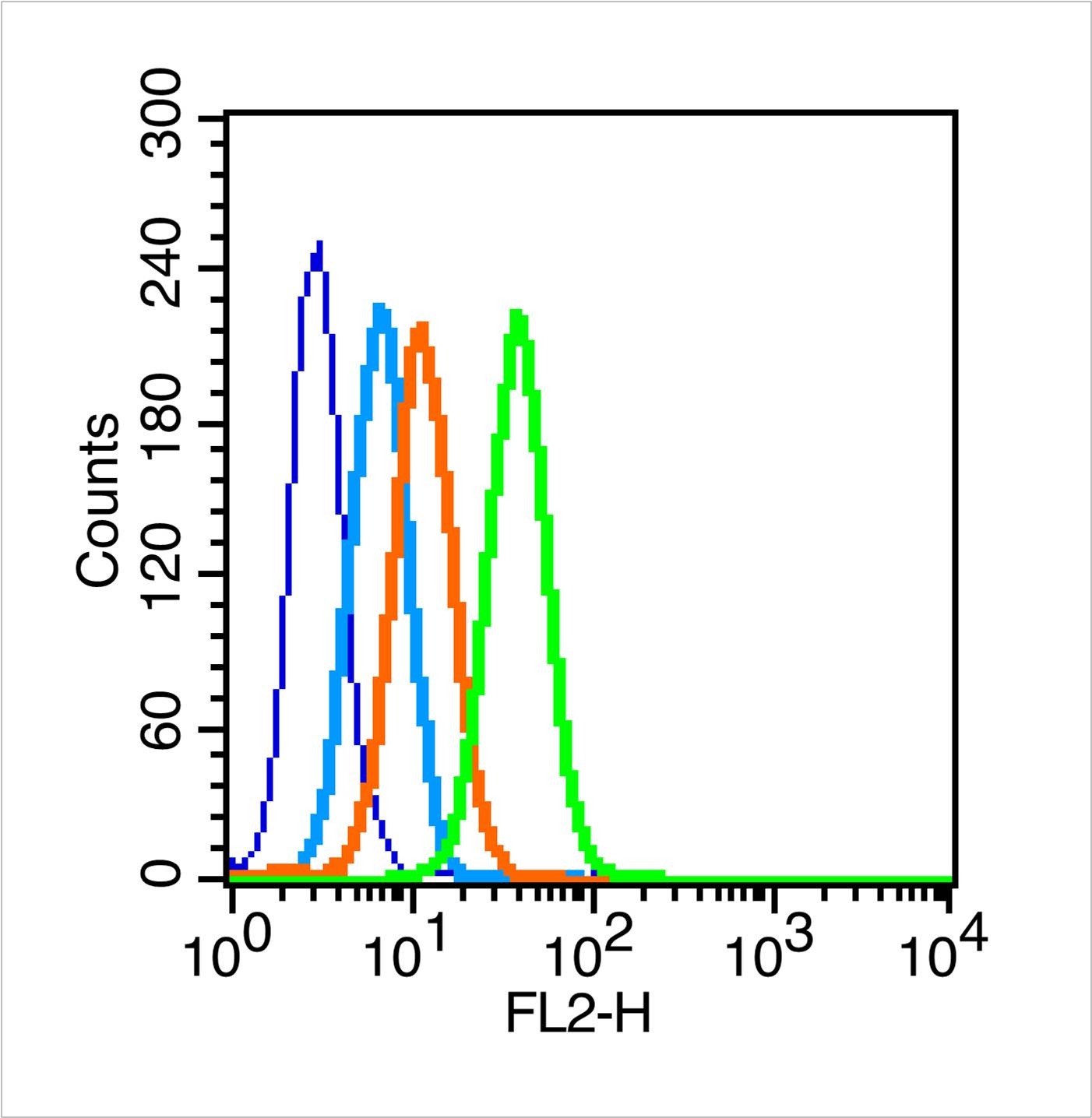 Anti-ITGAV Polyclonal Antibody 2