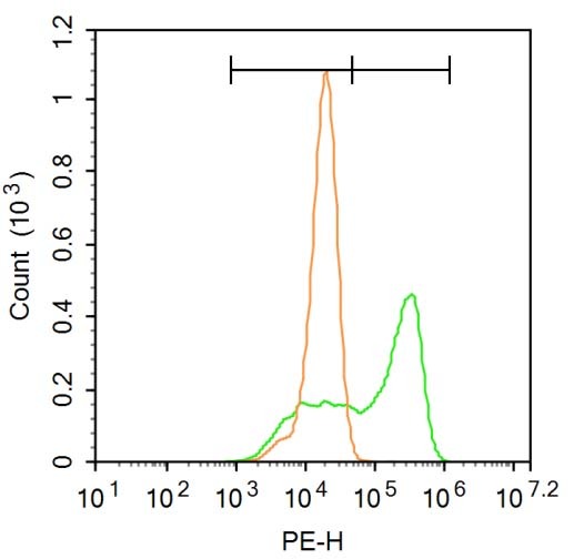 Anti-NR1H4 Polyclonal Antibody