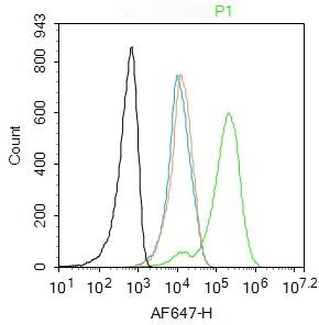 Anti-MYD88 Polyclonal Antibody