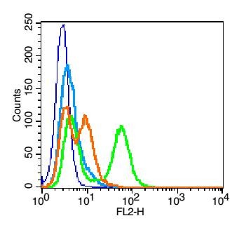 Anti-ITGB1 Polyclonal Antibody