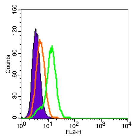 Anti-ITGB1 Polyclonal Antibody