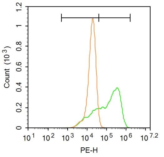 Anti-IL-15 Polyclonal Antibody