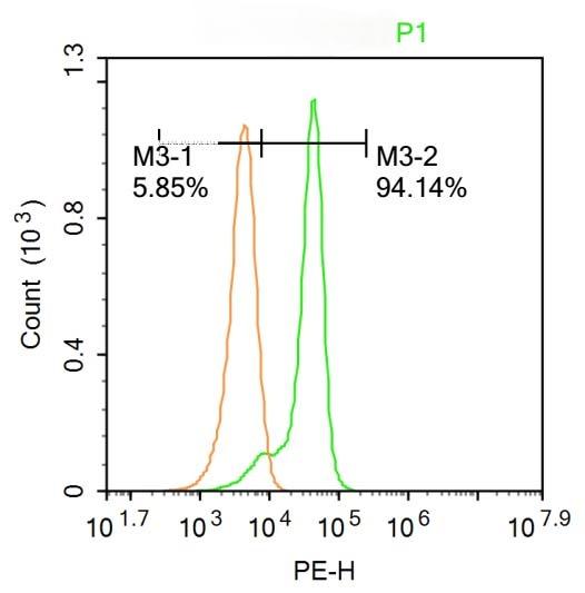Anti-JAK3 Polyclonal Antibody