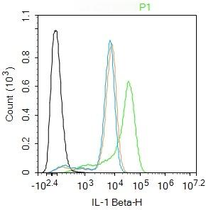 Anti-IL-1 beta Polyclonal Antibody 3