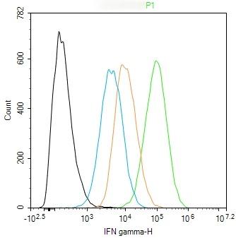 Anti-IFN gamma Polyclonal Antibody