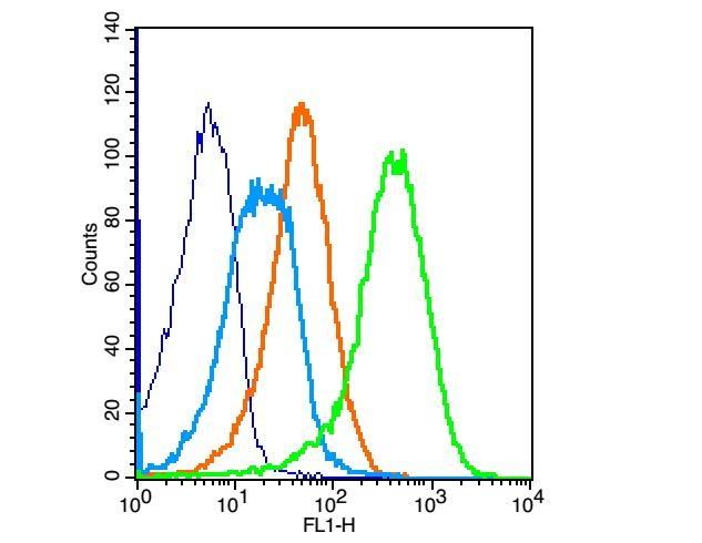 Anti-IGF1R/CD221 Polyclonal Antibody 2