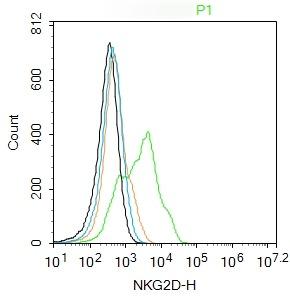 Anti-NKG2D/CD314 Polyclonal Antibody