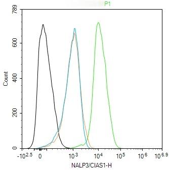 Anti-NLRP3 Polyclonal Antibody 4