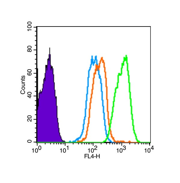 Anti-Nitro-Alpha-synuclein (Tyr39) Polyclonal Antibody