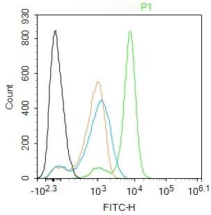 Anti-MT2A Polyclonal Antibody