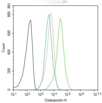 Anti-Osteopontin Polyclonal Antibody