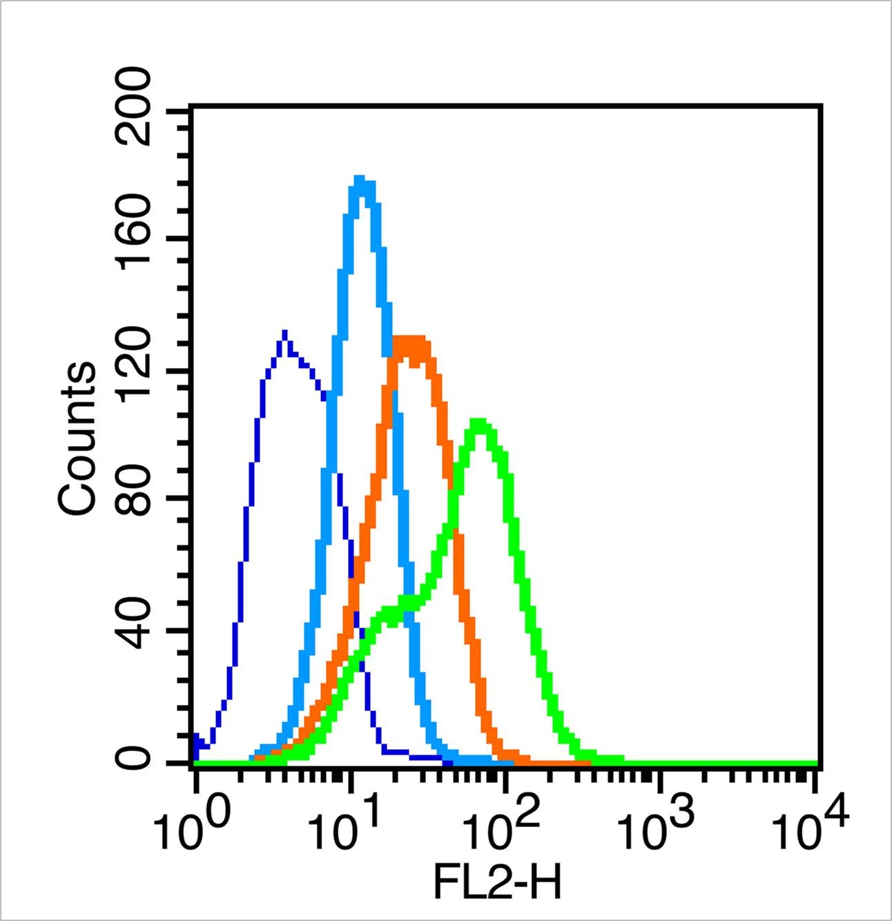 Anti-Nephrin Polyclonal Antibody