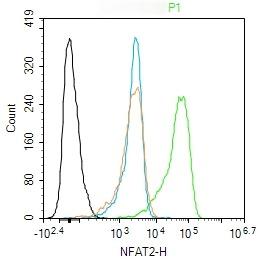 Anti-NFAT2 Polyclonal Antibody