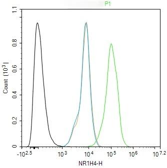 Anti-NR1H4 Polyclonal Antibody