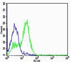 Anti-NR3C1 Polyclonal Antibody