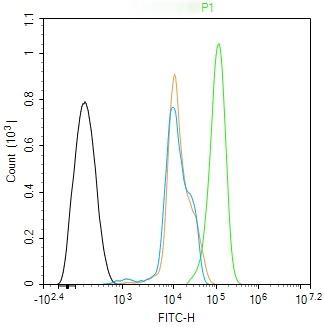 Anti-MST1 Polyclonal Antibody