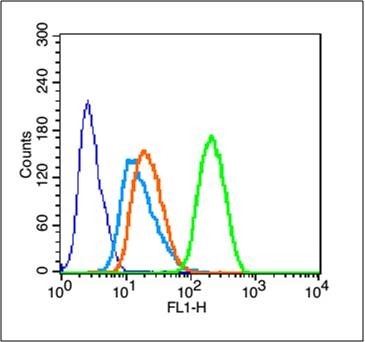 Anti-mTOR Polyclonal Antibody