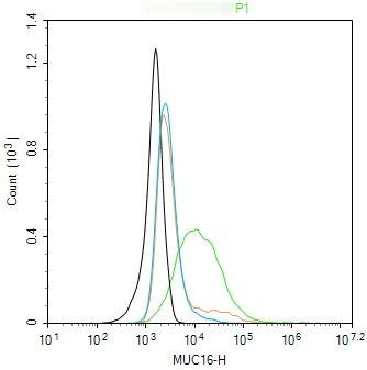 Anti-Mucin-16/MUC16 Antibody (8O689)
