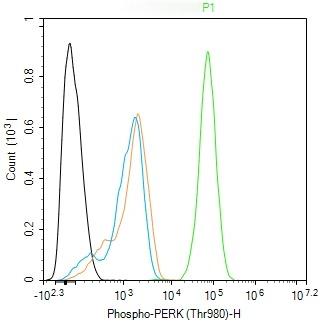 Anti-Phospho-PERK (Thr980) Polyclonal Antibody