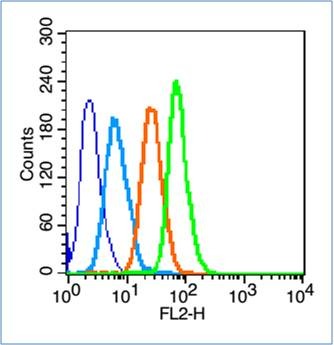 Anti-SLC2A2 Polyclonal Antibody