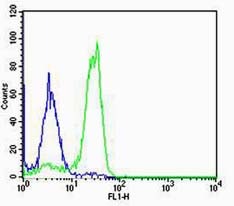 Anti-SFTPC Polyclonal Antibody