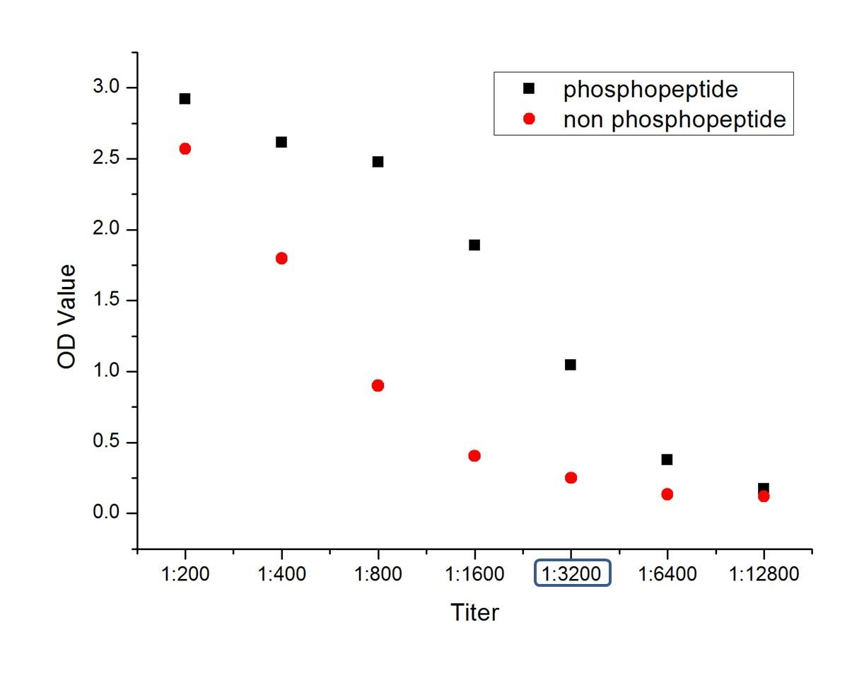 Anti-Phospho-PKM2 (Tyr105) Polyclonal Antibody