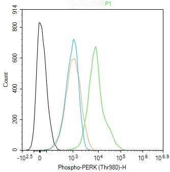 Anti-Phospho-PERK (Thr980) Polyclonal Antibody 2