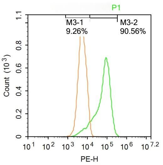 Anti-SOD1 Polyclonal Antibody
