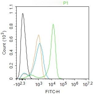 Anti-SOCS3 Polyclonal Antibody