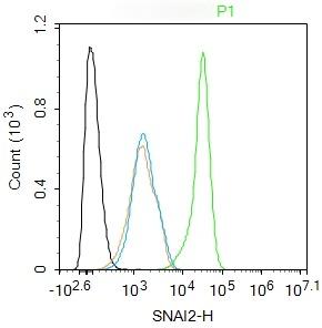Anti-SNAI2 Polyclonal Antibody