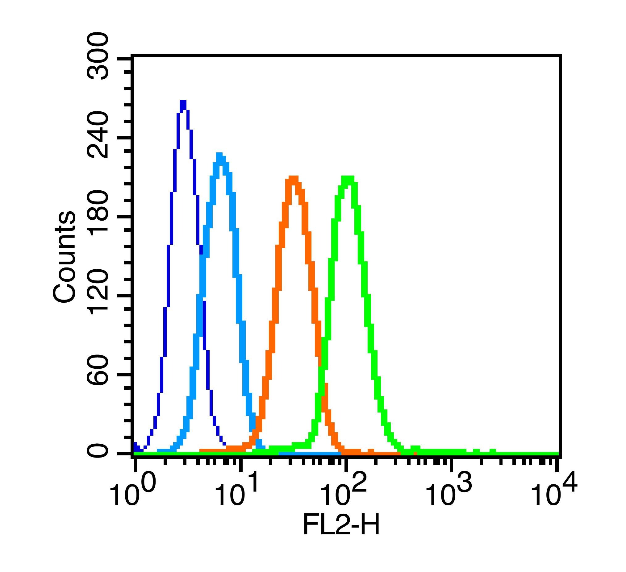 Anti-SLC2A4 Polyclonal Antibody