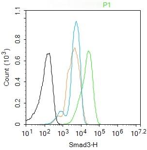 Anti-SMAD3 Antibody (8P334)