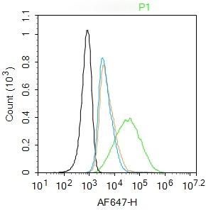 Anti-CEACAM5 Polyclonal Antibody 2