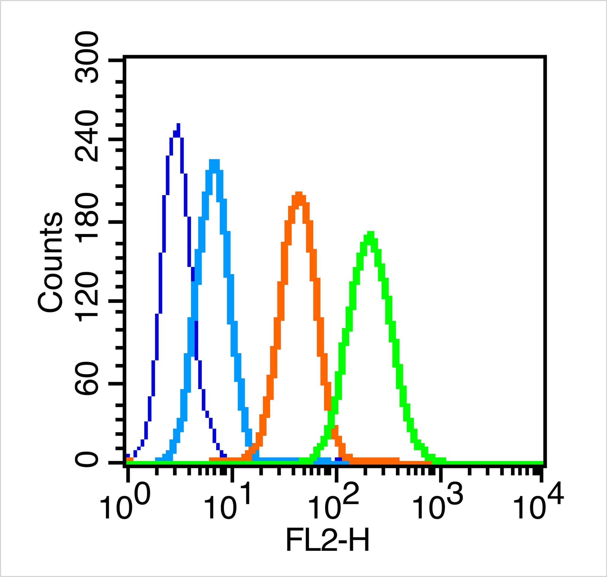 Anti-CEACAM5 Polyclonal Antibody 2