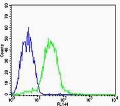 Anti-YKL-40/CHI3L1 Polyclonal Antibody