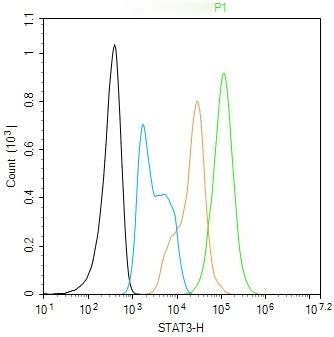 Anti-STAT3 Antibody (3R504)