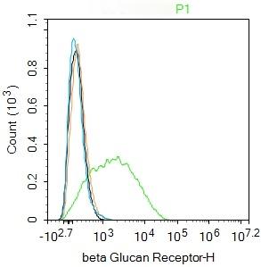 Anti-CLEC7A Polyclonal Antibody 2