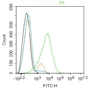 Anti-CLEC4E Polyclonal Antibody